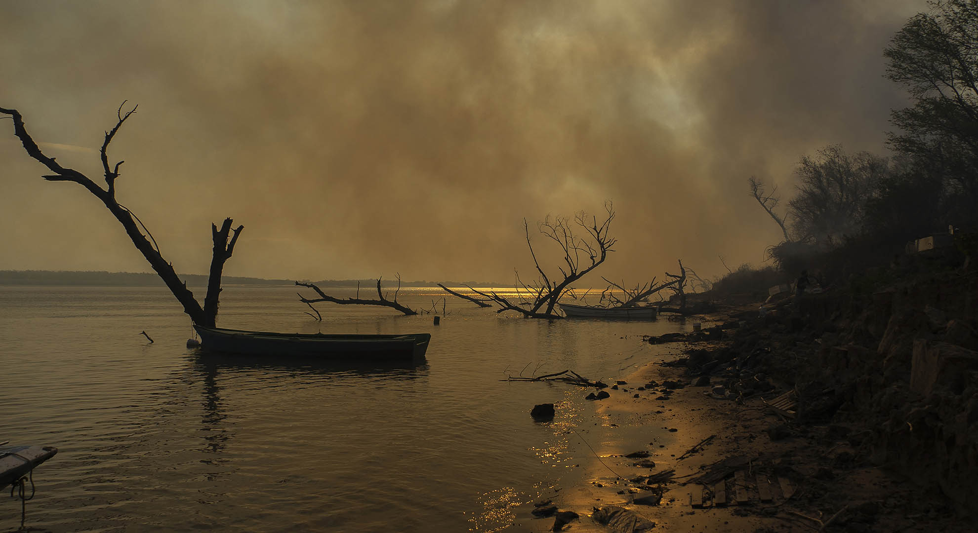 freshwater ecosystem of the Parana Delta consumed by fire