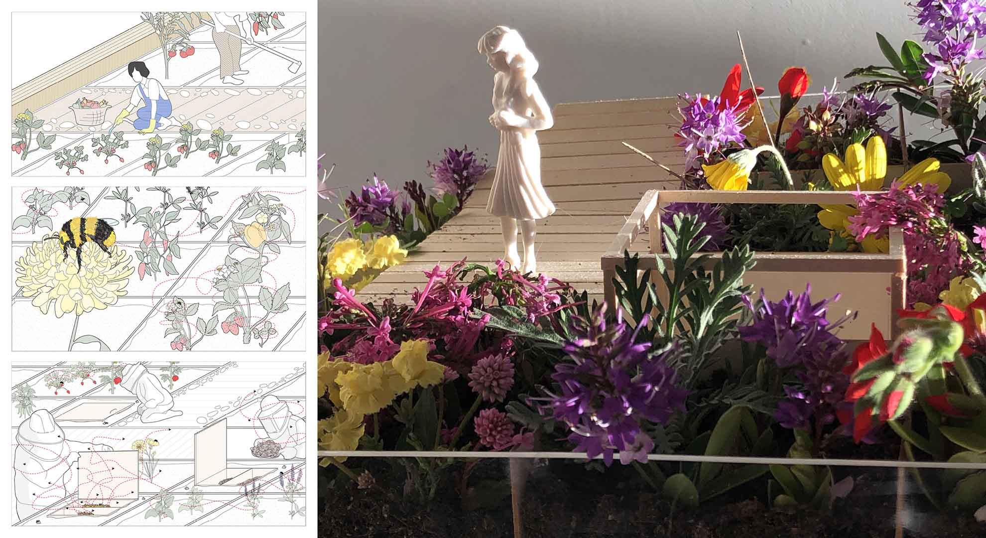 Laminated roof that integrates planters for the cohabitation of animal and plant species.