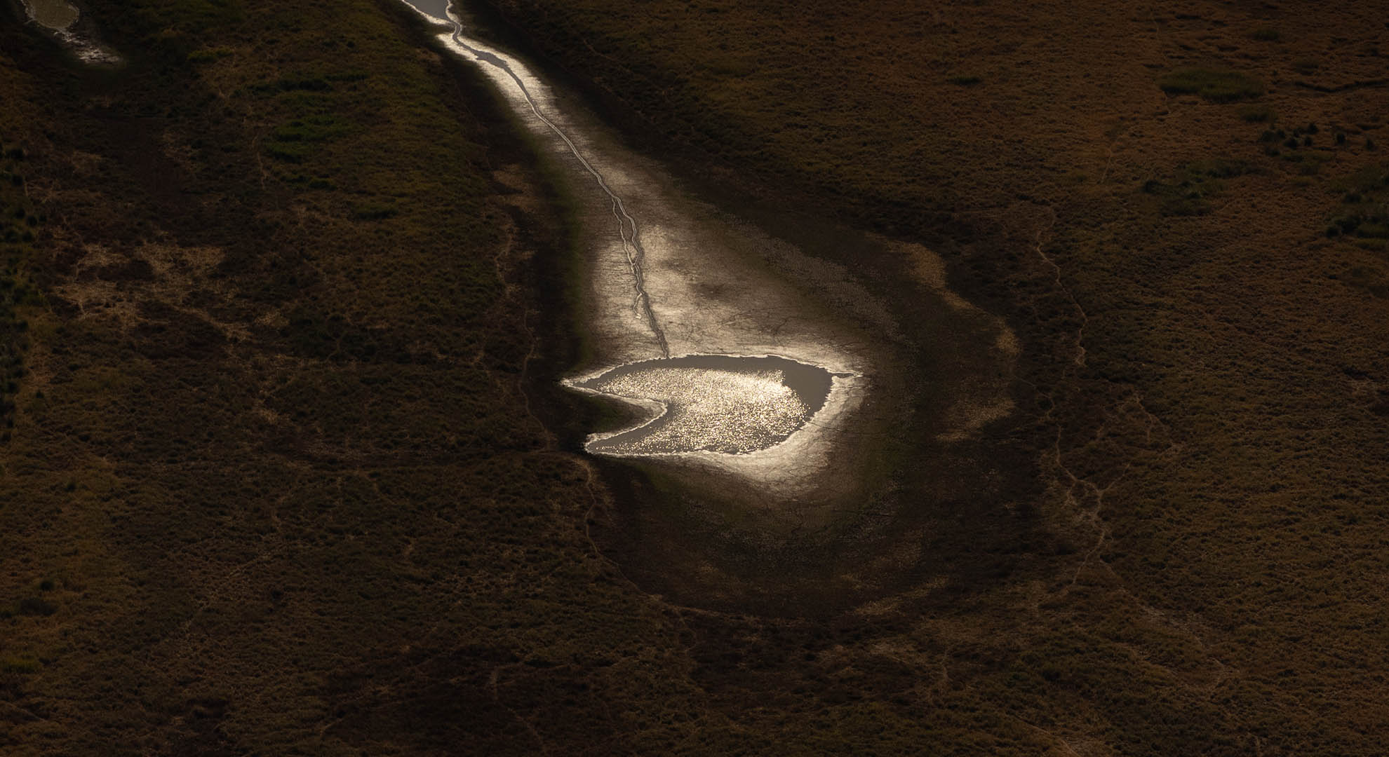 Sequía en los humedales del Delta del Paraná