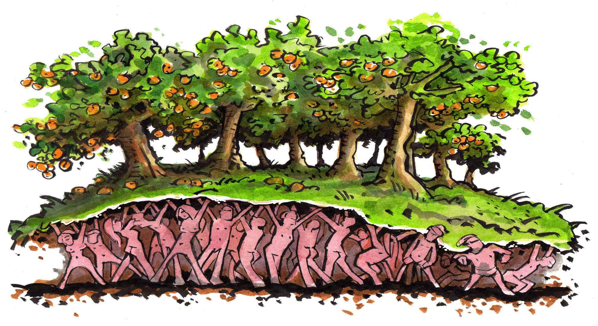 Illustration evoking the symbiotic city that regenerates urban land.