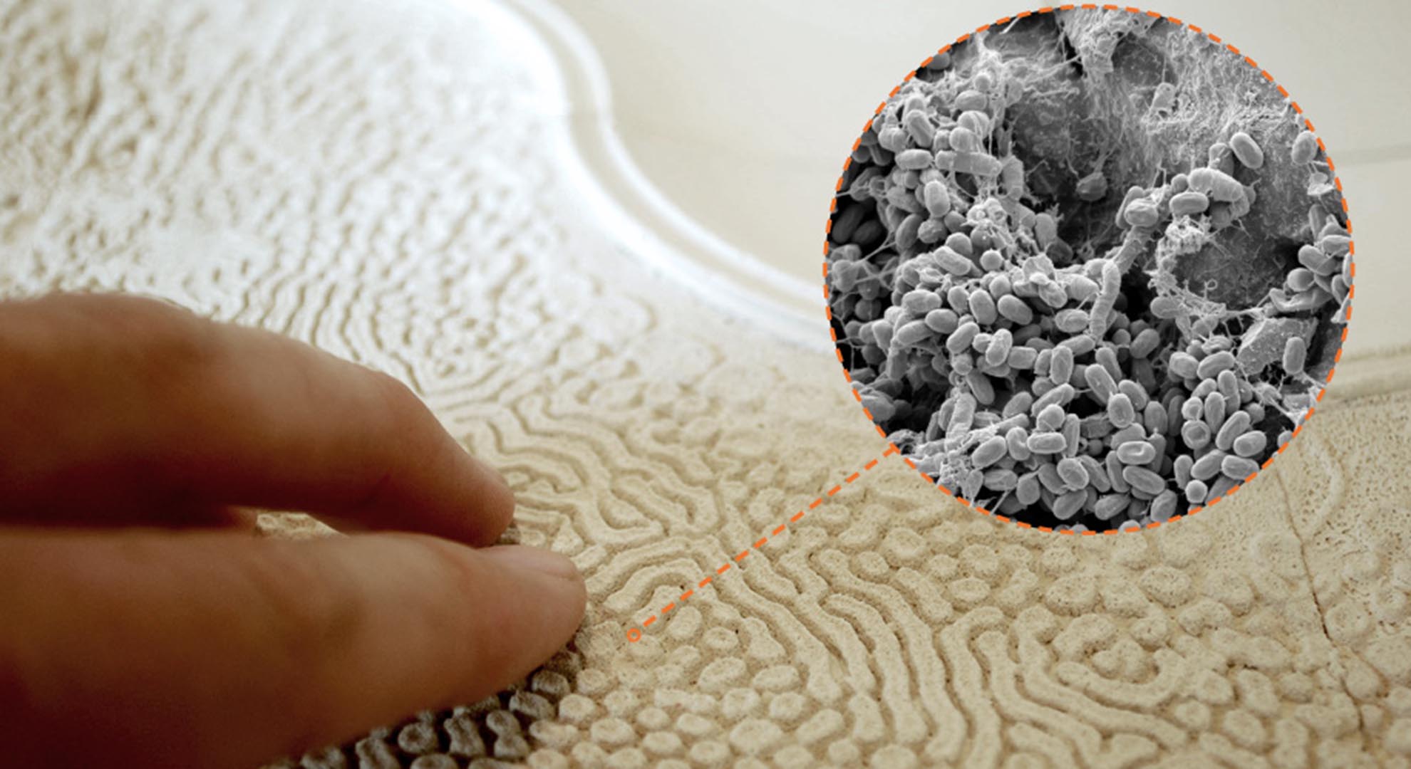 These materials contain microbes and are called probiotic materials.