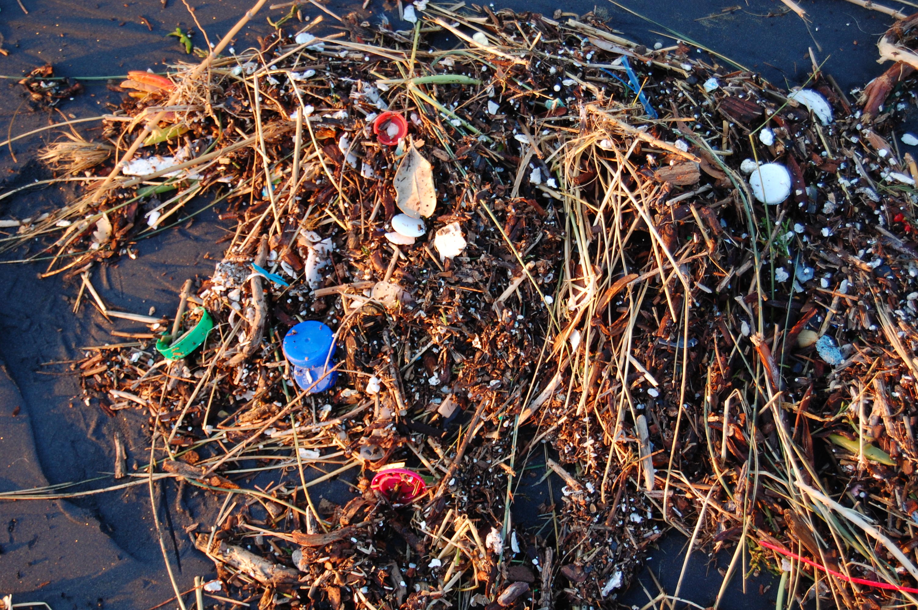 Plastic waste on San Francisco Bay.