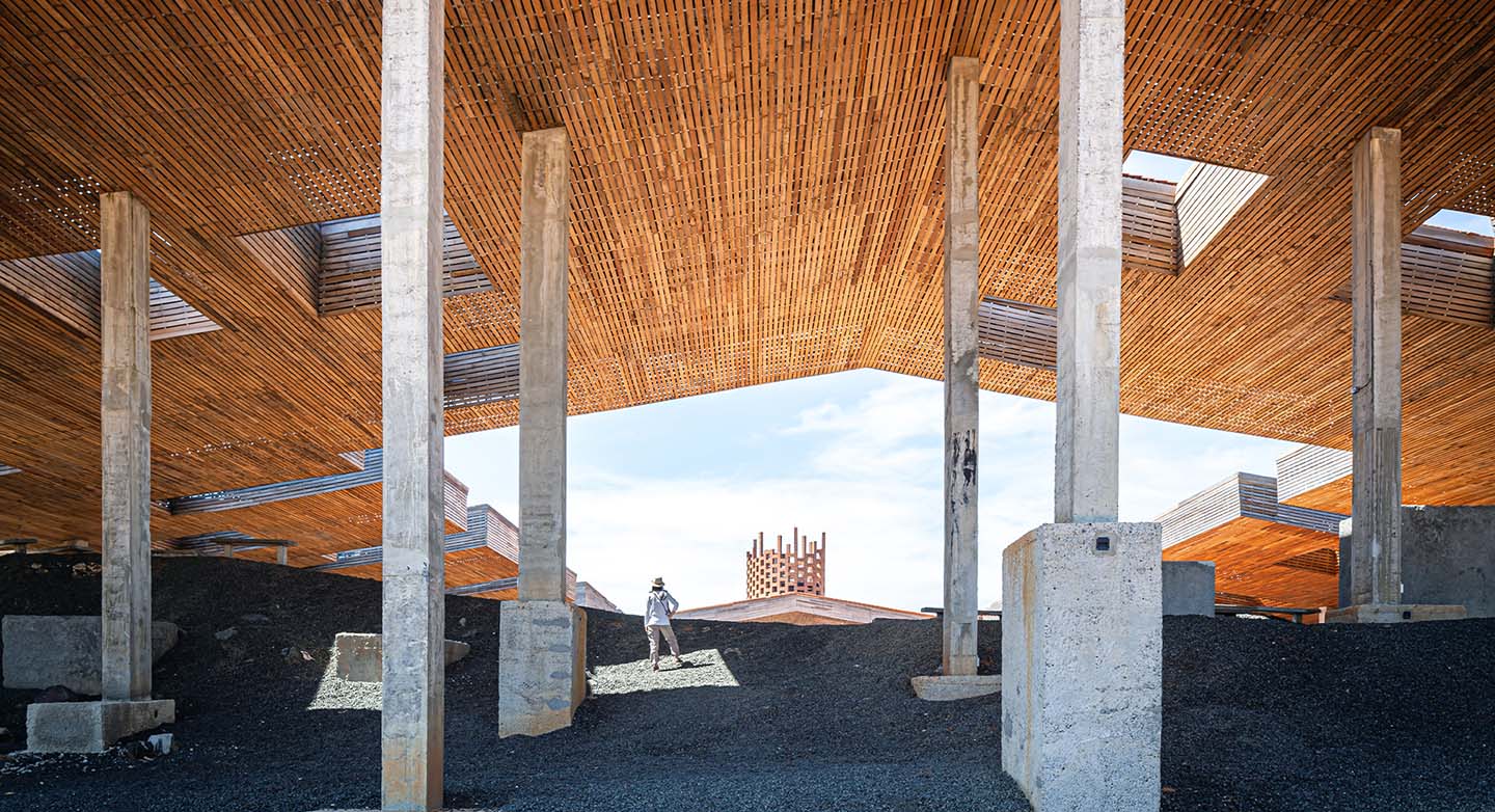 Interior view of an area dedicated to elephants.
