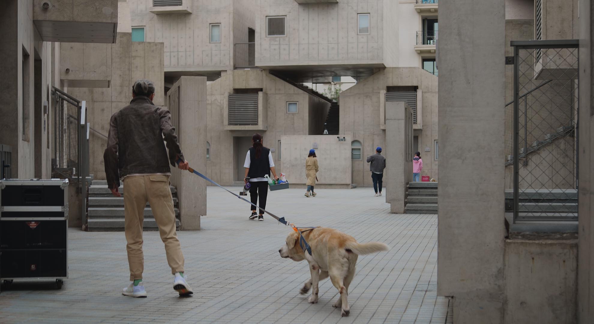 The integration of urban planning with animals in mind is one of the reflections of the exhibition.