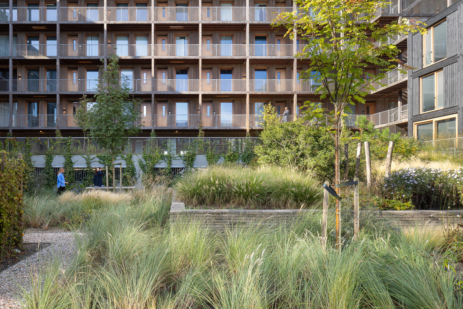 Jardín y patio verde del edificio Juf Nienke, espacio natural dentro de una vivienda sostenible y ecológica.