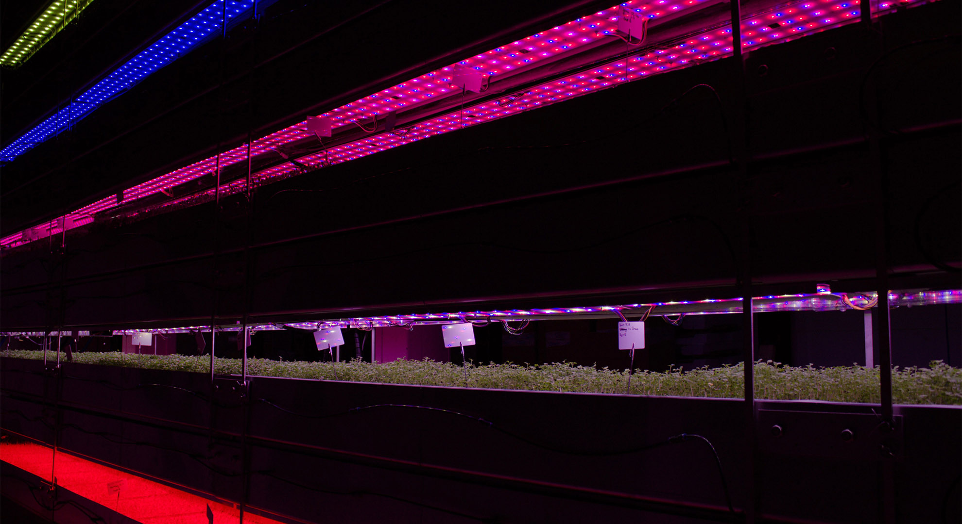 Proprietary Growing System